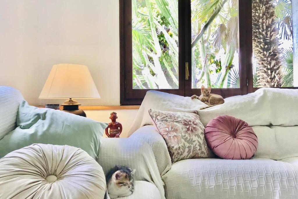 Casa Mediterranea Con Gran Jardin Y Piscina A 500 M De La Playa Roda de Bera Ngoại thất bức ảnh